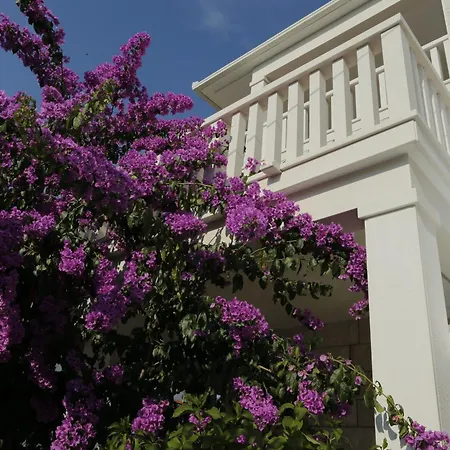 Marino Appartement *