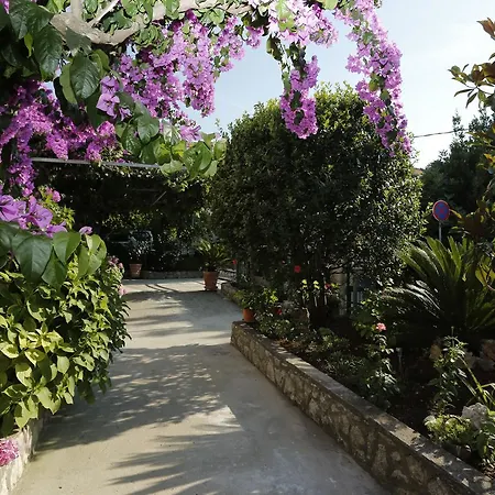 Appartement Marino *